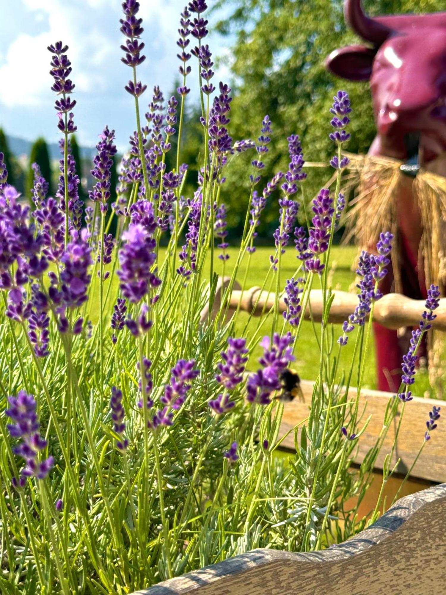 Apartamenty Agroturystyczne Papiernia Niedźwiedź Exteriér fotografie