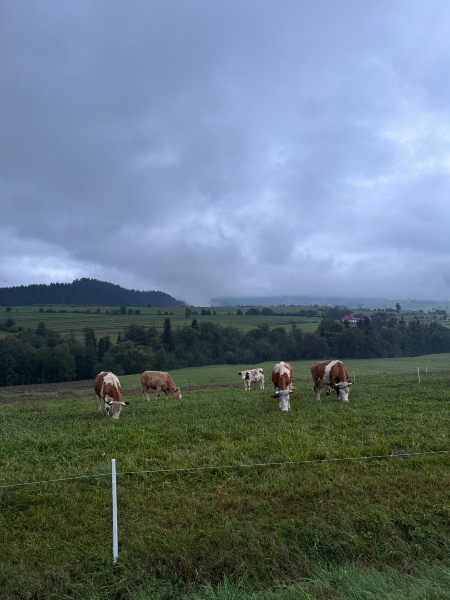 Apartamenty Agroturystyczne Papiernia Niedźwiedź Exteriér fotografie